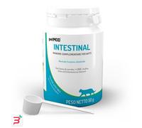 PETMOD INTESTINAL GATTO POLVERE 50 G