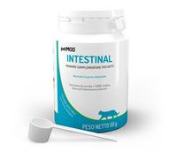 Petmod Intestinal Gatto Polvere 50g