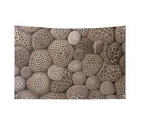 Petoskey - Bandiera in pietra, 152,4 x 243,8 cm, non sbiadisce, bandiera di benvenuto da giardino, cortile, casa, cartello decorativo per interni ed esterni, decorazione per la casa