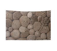 Petoskey - Bandiera in pietra, 89 x 150 cm, non sbiadisce, bandiera di benvenuto da giardino, cortile, casa, cartello decorativo per interni ed esterni, decorazione per la casa