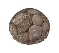 Petoskey Stone1 Cuffia da doccia da donna riutilizzabile a doppio strato cuffia da bagno cuffia per capelli impermeabile fascia elastica da donna spa salone doccia cappelli per capelli