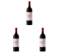 Petra Hebo - 1500 ml (Confezione da 3)