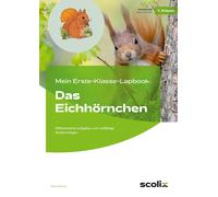 Petra Mönn Mein Erste-Klasse-Lapbook: Das Eichhörnchen: Differe (Broschüre)