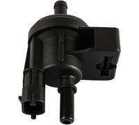 Petrol Evaporation Control 55566514 Elettrovalvola Di Sfiato Spurgo Carburante A