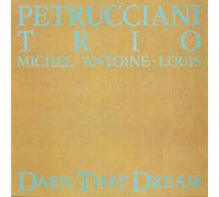 Petrucciani Trio - Darn That Dream