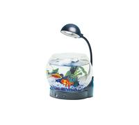 Pets ACQUARIO PESCI BOCCIA DI VETRO CON LUCE A LED CM20,5X18X22 PESCE