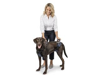 PetSafe Carelift, Pettorina di Supporto per Cani, Ausilio per Il Sollevamento di Tutto Il Corpo con Impugnatura, per Cani Disabili o Anziani, Comodo, Traspirante, Facile da Regolare, L