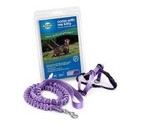 PetSafe, come with Me Kitty, Pettorina e guinzaglio Elastico per Gatti