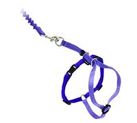 Petsafe, Come with Me Kitty, Pettorina e guinzaglio Elastico per Gatti