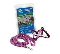 PetSafe, come with Me Kitty, Pettorina e guinzaglio Elastico per Gatti