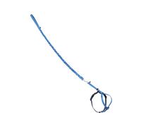 PetSafe CWMK-M-RYL Pet Safe 18807614: Premier Come with Me Kitty Harness & Bungee Leash Combo, Royal Blue MD, Nylon, Blu Reale/Blu Marino, Medium (Pack of 1)