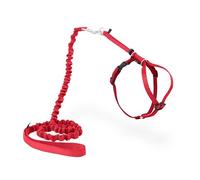 PetSafe CWMK-S-RYL Pet Safe 18807611: Premier Come with Me Kitty Harness & Bungee Leash Combo, MD Red, Nylon, Rosso/Mirtillo Rosso, Medium (Pack of 1)