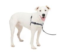 PetSafe Dog Harness Imbracatura Deluxe Easy Walk, M/L, Grigio Acciaio, Nylon