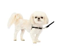 Petsafe Easy Walk Imbracatura per Cani