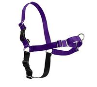 Petsafe Easy Walk Imbracatura per Cani