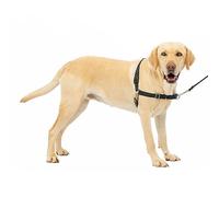 Petsafe Easy Walk Imbracatura per cani