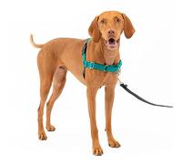 PetSafe Easy Walk - Imbracatura per cani senza tirare, la migliore imbracatura per aiutare a smettere di tirare, prendere il controllo e insegnare le migliori maniere con il guinzaglio, aiuta a