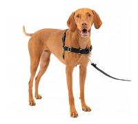 Pettorina PetSafe® Easy Walk - 51 - 71 cm circ. torace
