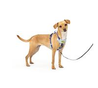 PetSafe Easy Walk - Pettorina per cani comoda e anti-tiro, per migliorare la camminata, design imbottito su tutto il corpo, tessuto resistente, vestibilità regolabile in 5 punti, guinzaglio per