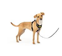 PetSafe Easy Walk - Pettorina per cani con imbottitura completa, per passeggiate migliori al primo utilizzo, 5 punti di regolazione, taglia XS, S, M, L, colore: blu/nero/verde/rosa