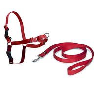 PetSafe Easy Walk, Pettorina per Cani, Pettorina Anti-tiro per Cani, per l'Addestramento con Guinzaglio e Pettorina, Impedisce al Cane di Tirare e Strozzarsi, Rosso, S, Piccolo