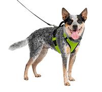 PetSafe Easysport, Pettorina Media, Mela