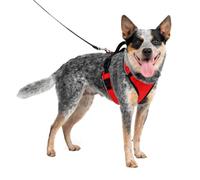PetSafe EasySport - Pettorina per Cani dotata di Tessuto Imbottito Resistente, con Scollatura Elastica Regolabile, Attacco Posteriore per Guinzaglio e Dettagli Riflettenti - Rosso - M