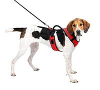 PetSafe EasySport - Pettorina per Cani dotata di Tessuto Imbottito Resistente, con Scollatura Elastica Regolabile, Attacco Posteriore per Guinzaglio e Dettagli Riflettenti - Rosso - L