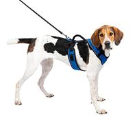 PetSafe EasySport - Pettorina per Cani dotata di Tessuto Imbottito Resistente, con Scollatura Elastica Regolabile, Attacco Posteriore per Guinzaglio e Dettagli Riflettenti - Blu - L