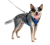 PetSafe EasySport - Pettorina per Cani dotata di Tessuto Imbottito Resistente, con Scollatura Elastica Regolabile, Attacco Posteriore per Guinzaglio e Dettagli Riflettenti - Blu - M