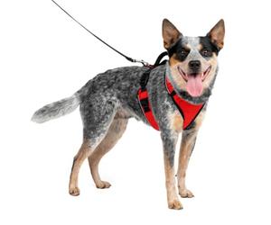 PetSafe EasySport - Pettorina per Cani dotata di Tessuto Imbottito Resistente, con Scollatura Elastica Regolabile, Attacco Posteriore per Guinzaglio e Dettagli Riflettenti - Rosso - M