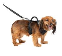 PetSafe Easysport Pettorina X-Small, Nero