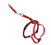 PetSafe Pet Safe 18807612: Premier Come with Me Kitty Harness & Bungee Leash Combo, LG Red, Nylon, Rosso/Mirtillo Rosso, L
