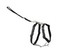 PetSafe Pettorina per Cani 3 in 1, con Speciale componente per Auto