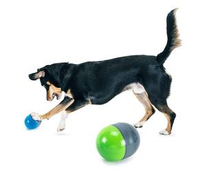 PetSafe Ricochet, Giocattoli Elettronici per Cani, Gioco Interattivo Sonoro per Animali Domestici, Giocattoli Intelligenti, Stimola L'Esercizio Fisico