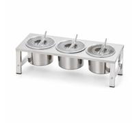 PETSOLA Condimenti in Acciaio Inox 304 con, Supporto Per Condimenti A Fila Singola Con 3 Scomparti Interni In Acciaio Inossidabile 304 E Coperchi Trasparenti Apribili, Include 3 Cucchiai