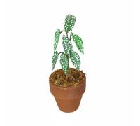 PETSOLA Pot Vaso per Casa delle Bambole Pianta Mini con Macchie Bianche Accessorio in Betulla Aspetto Realistico Adatto per Collezionisti Casa delle Bambole Giardino delle Fate Scrivania, Verde
