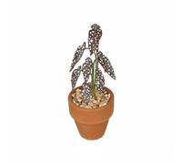 PETSOLA Pot Vaso per Casa delle Bambole Pianta Mini con Macchie Bianche Accessorio in Betulla Aspetto Realistico Adatto per Collezionisti Casa delle Bambole Giardino delle Fate Scrivania, Marrone