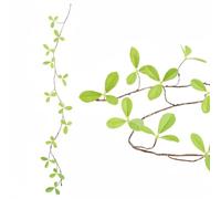 PETSOLA Ramo Secco Finto Stile Europeo Ramoscello Decorativo Artificiale Realistico Stelo Artificiale Singolo per Composizioni Floreali, Ufficio, Matrimonio , Trifoglio Bell Vine