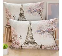 PETTI Artigiani Italiani - Coppia di Federe Cuscino 50x70 cm in Microfibra, Cuscini Arredo Camera da Letto, Divano, Salotto, Set 2 Fodere Copricuscino, Federa Paris, 100% Made in Italy