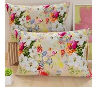 PETTI Artigiani Italiani - Coppia di Federe Cuscino 50x70 cm in Microfibra, Cuscini Arredo Camera da Letto, Divano, Salotto, Set 2 Fodere Copricuscino, Federa Spring Colorful, 100% Made in Italy