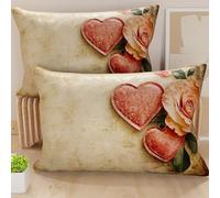 PETTI Artigiani Italiani - Coppia di Federe Cuscino 50x70 cm in Microfibra, Cuscini Arredo Camera da Letto, Divano, Salotto, Set 2 Fodere Copricuscino, Federa Shabby 332, 100% Made in Italy