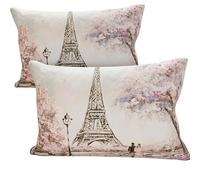 PETTI Artigiani Italiani - Coppia di Federe Cuscino 50x80 cm in Microfibra, Cuscini Arredo Camera da Letto, Divano, Salotto, Set 2 Fodere Copricuscino, Federa Paris, 100% Made in Italy