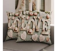 PETTI Artigiani Italiani - Coppia di Federe Cuscino 60x60 cm in Microfibra, Cuscini Arredo Camera da Letto, Divano, Salotto, Set 2 Fodere Copricuscino, Federa Shabby 318, 100% Made in Italy