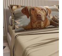 PETTI Artigiani Italiani - Lenzuola Animali con Cani in Cotone con Federe in Stampa Digitale, Lenzuola Una Pizza e Mezza, Completo Letto Una Piazza e Mezza Tortora, 100% Made in Italy
