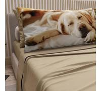 PETTI Artigiani Italiani - Lenzuola Animali con Cani in Cotone con Federe in Stampa Digitale, Lenzuola Una Pizza e Mezza, Completo Letto Una Piazza e Mezza Tortora, 100% Made in Italy