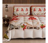 PETTI Artigiani Italiani - Trapunta Singola Invernale di Natale, Piumone Singolo Natalizio, Trapunta Natalizia Double Face Tinta Unita e Stampa Digitale Gnomo 3, Made in Italy