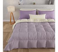 PETTI Artigiani Italiani - Trapunta Una Piazza e Mezza Invernale, Piumone Una Piazza e Mezza, Tinta Unita Double Face Panna Lilla 100% Made in Italy
