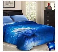 PETTI Artigiani Italiani - Trapunta Una Piazza e Mezza Invernale, Piumone Una Piazza e Mezza, Trapunta Double Face Tinta Unita e Stampa Digitale Notte Stellata, Made in Italy