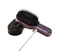 Pettine Massaggiante per Capelli 4 in 1 con Olio Essenziale | Luce Infrarossa, Plasma Antiforfora, Massaggio Vibrazione, Ricarica USB - Cura Cuoio Capelluto, Riduce Caduta e Nodini